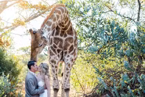 Hươu cao cổ xuất hiện chúc phúc cô dâu gây choáng ngợp