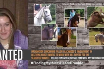 Nữ sinh viên thú y cứu chục con ngựa và sự thật kinh khủng