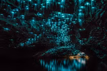 Đẹp tuyệt mỹ hang động đom đóm phát sáng kỳ ảo