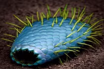 Vi khuẩn mặt cười và thế giới qua lăng kính hiển vi 