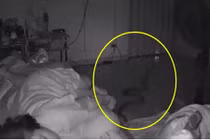 Đang ngủ ngửi mùi lạ, tỉnh dậy phát hiện con vật hãi hùng