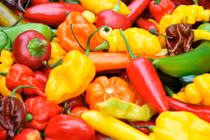 Kỳ lạ loại ớt cay đáng sợ, ăn là... ký giấy cam kết