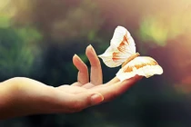 Video: Nếu gặp những dấu hiệu này, bạn sắp trúng số độc đắc