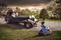 Đẹp tuyệt mỹ thế giới yên bình của thú cưng mơ mộng 