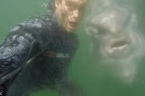 Cá thái dương làm mặt cực ngầu “tự sướng” cùng người 