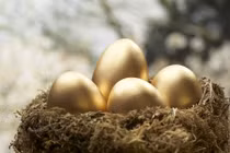 Chim khổng tước đẻ trứng vàng siêu quý hiếm... sự thật ngã ngửa