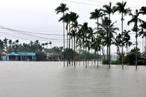 Hàng nghìn nhà dân Quảng Ngãi ngập sâu trong lũ