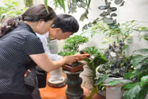 Hà Nội: Bệnh nhân đầu tiên tử vong do sốt xuất huyết trong năm nay