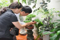 Hà Nội: Bệnh nhân đầu tiên tử vong do sốt xuất huyết trong năm nay