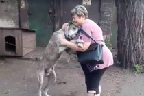 Lạc chủ 2 năm, chú chó khóc ôm chầm chủ ngày hội ngộ