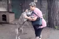 Lạc chủ 2 năm, chú chó khóc ôm chầm chủ ngày hội ngộ