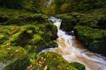 Lật tẩy dòng suối nhỏ xíu, tuyệt đẹp "ăn thịt người"