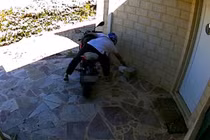 Mất quà Giáng sinh quá nhiều, người phụ nữ nghĩ chiêu độc...