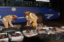 Hơn nửa tấn chân trâu bò bốc mùi hôi thối bị bắt giữ