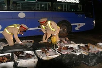 Hơn nửa tấn chân trâu bò bốc mùi hôi thối bị bắt giữ