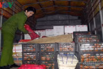 Quảng Ninh: Bắt giữ hơn 600kg hoa quả nhập lậu từ Trung Quốc 