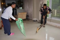 Ngủ sofa, người phụ nữ nghe tiếng ồn, tỉnh phát hiện kinh dị...