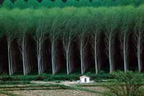 Bất ngờ với những hình ảnh hoàn hảo ngỡ như không có thật 