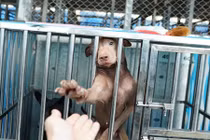 Nhìn hình ảnh này, trái tim bạn sẽ quặn thắt vì thương xót 