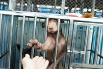 Nhìn hình ảnh này, trái tim bạn sẽ quặn thắt vì thương xót 