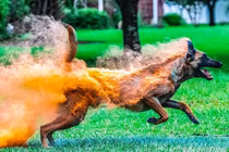 Khoảnh khắc trùng hợp khó tin có thật xem muốn "tẩu hỏa" (1)