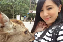 Chụp ảnh thân mật với hươu, gái trẻ bị sàm sỡ công khai