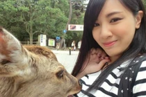 Chụp ảnh thân mật với hươu, gái trẻ bị sàm sỡ công khai