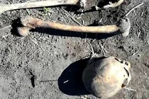Làm vườn tìm thấy hài cốt, đã sợ còn phát hiện điều hãi hùng hơn