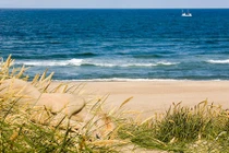 Ngỡ ngàng cơ thể trần trụi hóa tác phẩm nghệ thuật 