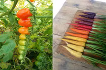 Những bức ảnh “ma thuật”, nhìn là muốn nhìn mãi không thể dừng