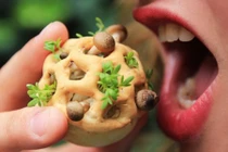 Chấn động 10 thực phẩm công nghệ cao trong tương lai