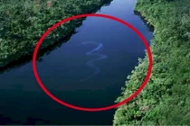 Những thủy quái kinh dị khiến con người sởn gai ốc