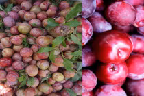 Mẹo hay phân biệt mận ta và mận Trung Quốc bằng mắt thường