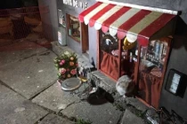 Kỳ dị cửa hàng sang chảnh chỉ bán đồ riêng cho chuột 