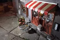 Kỳ dị cửa hàng sang chảnh chỉ bán đồ riêng cho chuột 