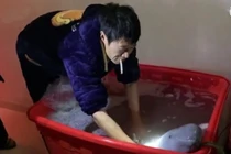 Người đàn ông bỏ số tiền lớn mua con cá mỉm cười với mình và kết...