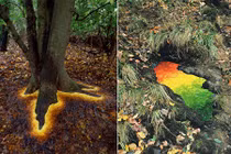 Kinh ngạc những tác phẩm nghệ thuật giữa thiên nhiên