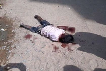 Chó hoang tấn công, cắn chết bé trai 4 tuổi trong đau xót