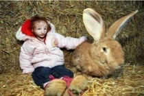 Bé 10 tuổi nhỏ như con thỏ và phép màu có thật