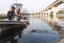 Ảnh: Vớt hàng bao tải cá chết, “sơ tán” cá sống ở hồ Hoàng Cầu