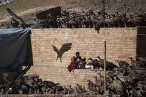 Kinh hãi cảnh kền kền ăn thịt xác chết ở Tây Tạng 