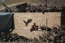 Kinh hãi cảnh kền kền ăn thịt xác chết ở Tây Tạng 