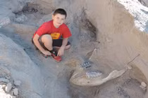 Cậu bé vấp ngã, phát hiện ra điều ai ai cũng khao khát