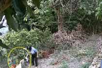 Ghét ngỗng, người phụ nữ trả thù con vật theo cách hãi hùng