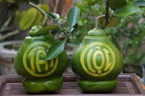 Bưởi đỏ rực, hiện hình thần tài đắt hàng dịp Tết