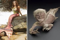 Sự thật về nàng tiên cá khiến bạn khóc thét 