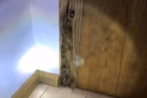 Sàn nhà, cửa chuyển màu đen... chủ nhà phát hiện điều kinh dị đã muộn 