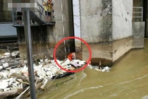 Bị nước cuốn 12 tiếng, chàng trai sống sót ngoạn mục theo cách này