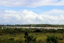 Doanh nghiệp xả thải khiến cá chết hàng loạt?