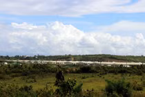 Doanh nghiệp xả thải khiến cá chết hàng loạt?